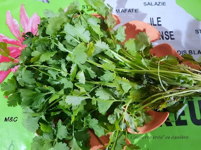 Bouquet de coriandre fraîche posé sur un fond vert décoré d’une carte de La Réunion, avec les feuilles bien vertes et dentelées visibles en détail.