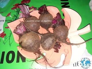 Cinq betteraves crues avec leurs tiges coupées, disposées sur un plat en forme de feuille de monstera rose pâle, posé sur une nappe verte et blanche.